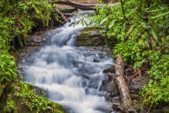 Cades-Cove-Waterfall-4.25.21.5