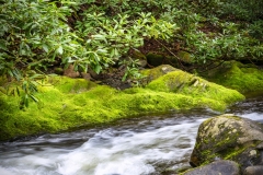 Cades-Cove-Waterfall-4.25.21.6