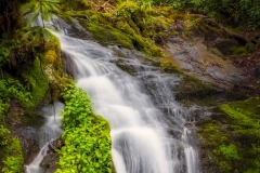 Cades-Cove-Waterfall-4.25.21