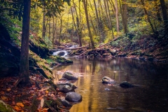 Cades-Waterfall-10.22.21-0903
