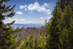 Clingmans-Dome-4.25.21.2
