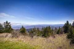 Clingmans-Dome-4.25.21