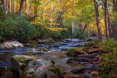 Elkmont-10.22.21-0918-1