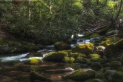 Mill-Roaring-Fork-4.23.24-9471