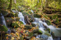 Newfound-Gap-Waterfall-10.23.21-1027