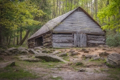 Olge-Barn-4.23.21