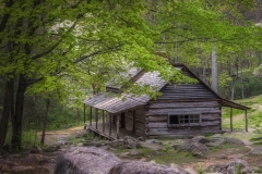 Olge-Homestead-4.23.21