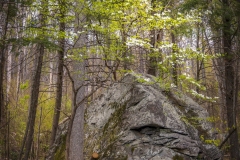Olge-Homestead-rock-4.23.12