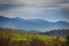 Roaring-Fork-view-4.23.21.2