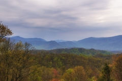 Roaring-Fork-view-4.23.21.3