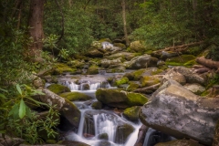Roaring-Fork-waterfall-4.23.21.2