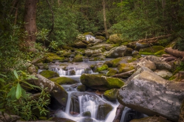 Roaring-Fork-waterfall-4.23.21.2