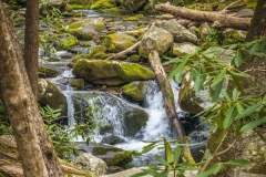 Roaring-Fork-waterfall-4.23.21.4