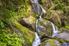 Roaring-Fork-waterfall-4.23.21.5