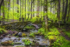 Troll-Bridge-4.24.21.3