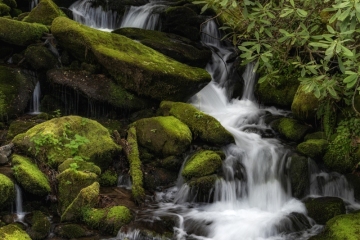 Waterfall-4.23.24-9550