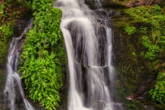 Waterfall-4.24.24-9539