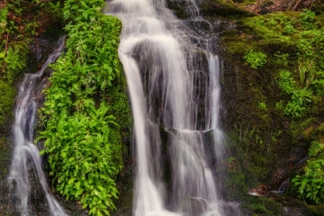 Waterfall-4.24.24-9539
