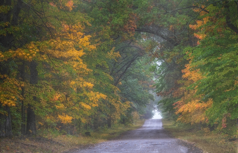 Fish-Lake-Wildlife-9.23.23-3257