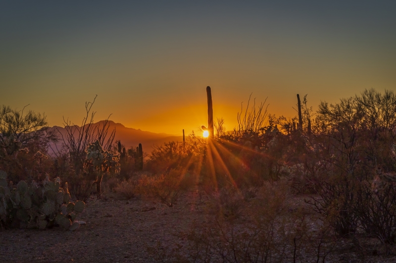 Tucson Mountain Sunset