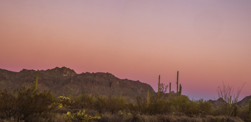 Tucson Mountain Sunset Panorama