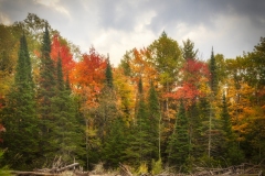 Fall-Foliage-10.01.21-8630