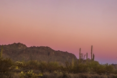 Tucson Mountain Sunset Panorama