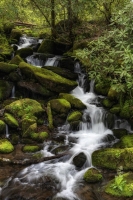 Waterfall-4.23.24-9550 Waterfall-4.23.24-9550