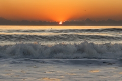 Sunrise-2.27.25-8337 Sunrise-2.27.25-8337