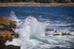 Acadia-Waves-10.20.22-0070