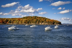 Bar-Harbor-10.20.22-6559