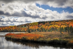 Cadot-Trail-10.16.22-6289