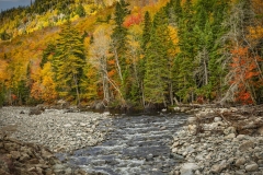 Cadot-Trail-10.17.22-6286
