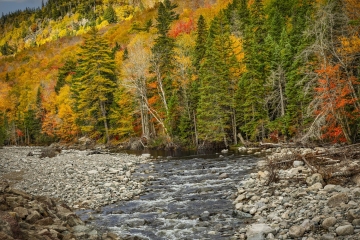 Cadot-Trail-10.17.22-6286