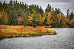 Fall-Foliage-10.16.22-6235