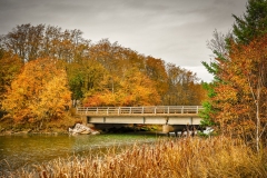 Fall-Foliage-PEI-10.16.22-6234