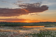 Sunrise-6.27.26-6441 Sunrise-6.27.26-6441