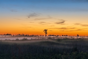 Sunrise-8.8.26-9706