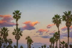Sunset-Palms-1.21.22-9721