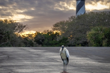 St-Augustine-Lighthouse-2.24.25-8277