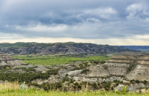 Landscape-ND-7-5.23.20 Landscape-ND-7-5.23.20
