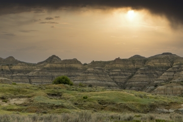 Landscape-ND-11-5.23.20