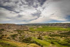 Landscape-ND-3-5.23.20-1 Landscape-ND-3-5.23.20-1