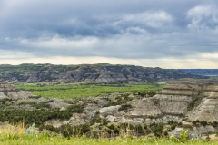 Landscape-ND-7-5.23.20 Landscape-ND-7-5.23.20