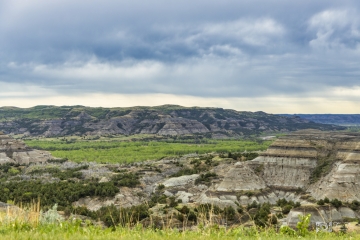 Landscape-ND-7-5.23.20