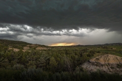 TRNP Storm