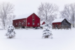 Red-Barn-12.17.22-8057 Red-Barn-12.17.22-8057