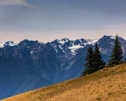 Hurricane-Ridge-8.15.21-5586