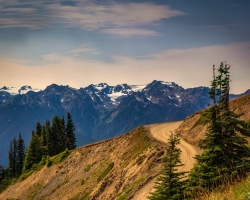 Hurricane-Ridge-8.15.21-5594