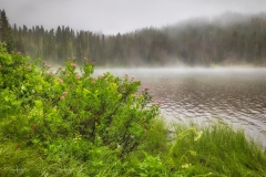 1_Mt-Rainier-Reflection-Lake-8.17.21-6019